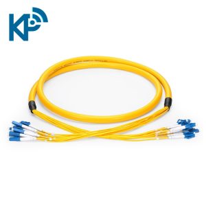 Dây nhảy quang Multi Core 12FO Single mode