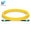 Dây nhảy quang Single Mode MTP-MTP 12 sợi đầu đực