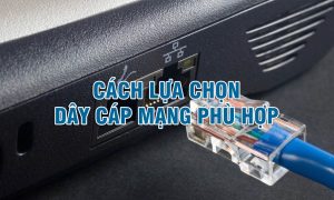 cách lựa chọn dây cáp mạng phù hợp