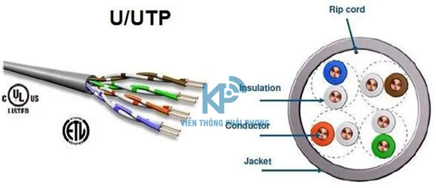Cấu tạo Dây cáp mạng UTP