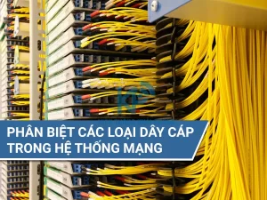 phân biệt các loại dây cáp trong hệ thống mạng