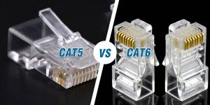cách phân biệt hạt mạng cat5 và cat6 chính xác nhất