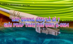 Cáp quang OM5