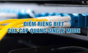 Những điểm riêng biệt của cáp quang Single mode