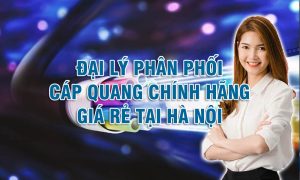 Tìm đại lý phân phối cáp quang chính hãng giá rẻ tại Hà Nội