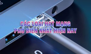 Các loại hạt mạng phổ biến nhất hiện nay