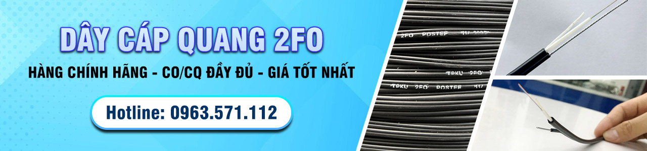 Cáp quang 2FO
