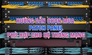 Hướng dẫn chọn mua Patch Panel phù hợp cho hệ thống mạng